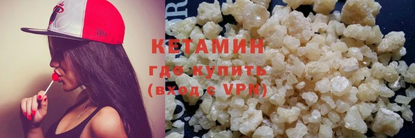 гидра Елабуга