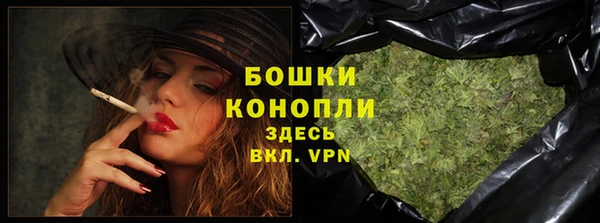 гидра Елабуга