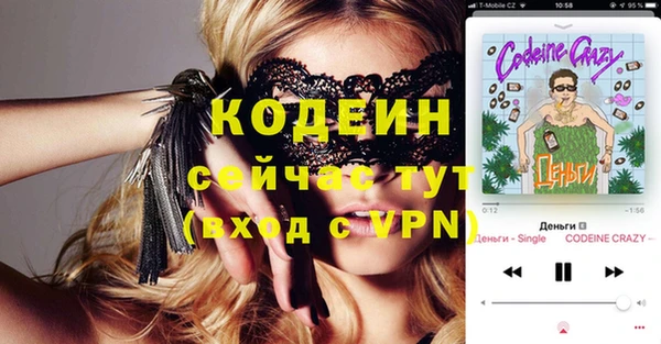 гидра Елабуга