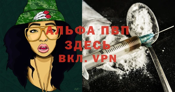 гидра Елабуга