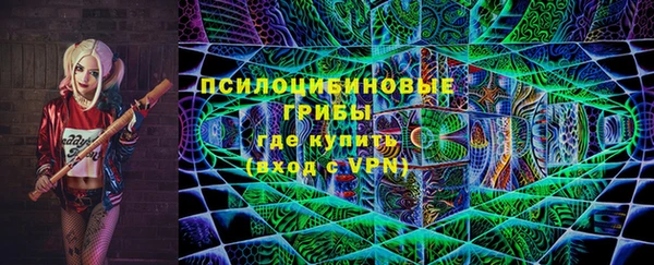 гидра Елабуга
