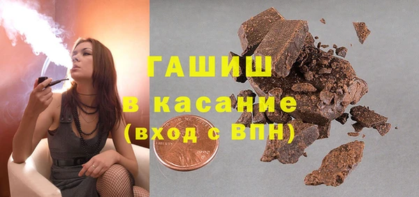 гидра Елабуга
