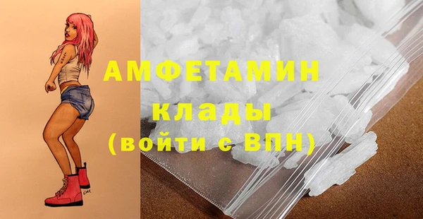 гидра Елабуга