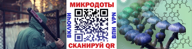 Псилоцибиновые грибы Psilocybe  Купить где  Барнаул 